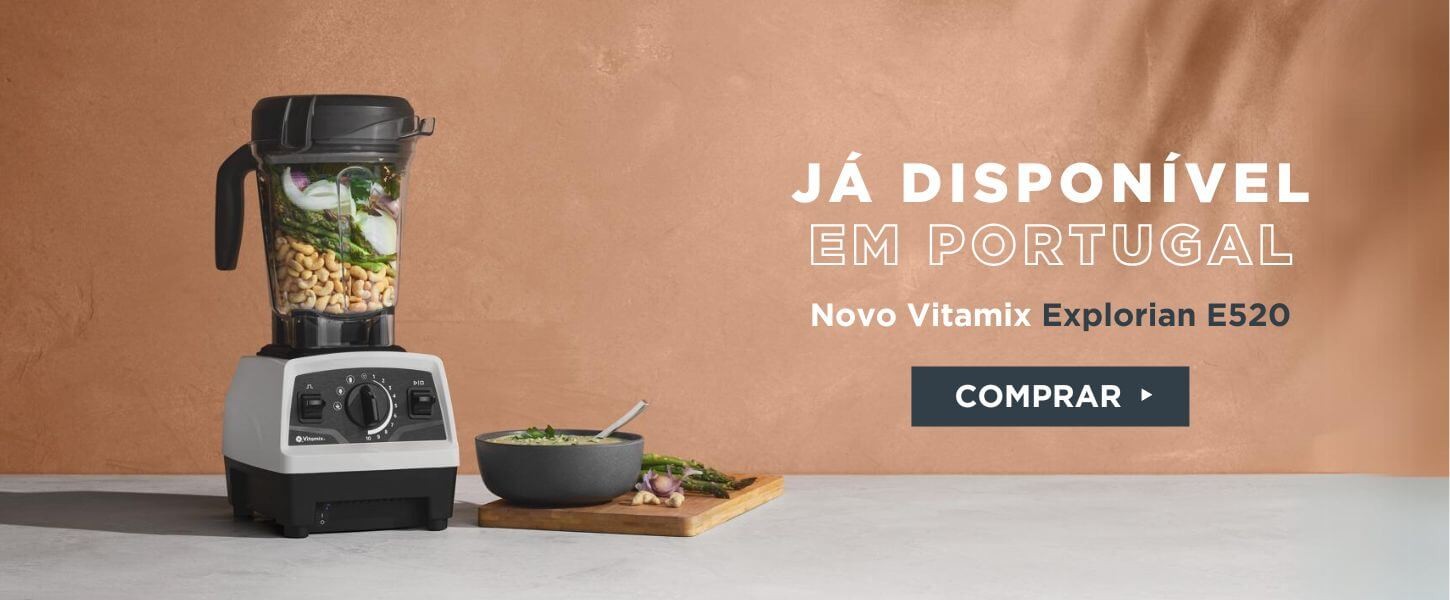 vitamix e520